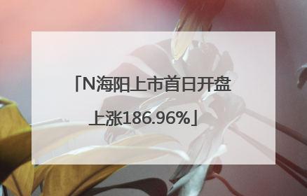 N海阳上市首日开盘上涨186.96%